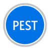 PEST Analysis